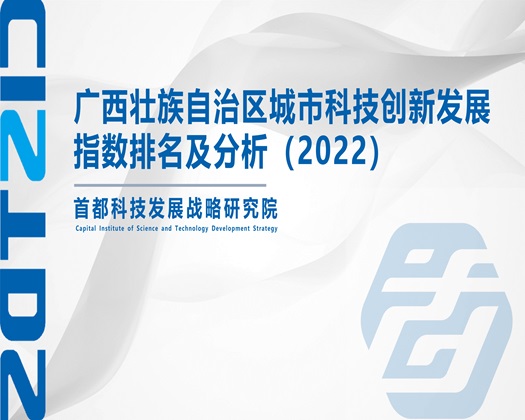 乌克兰美女被艹AV【成果发布】广西壮族自治区城市科技创新发展指数排名及分析（2022）